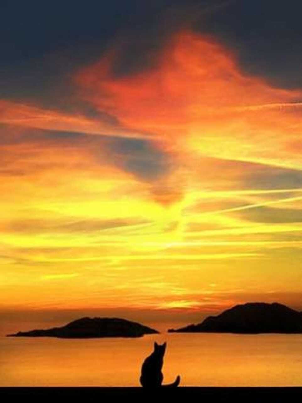 Contemplation Poster Print by Jon Bertelli - Item # VARPDXB3089D